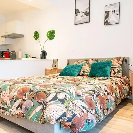 Cosy Location - Confortable, Cosy Et Equipe - Places Gratuites A Proximite Anzin Exterior foto