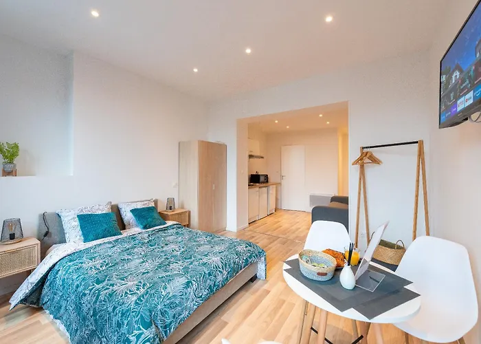 Cosy Location - Confortable, Cosy Et Equipe - Places Gratuites A Proximite