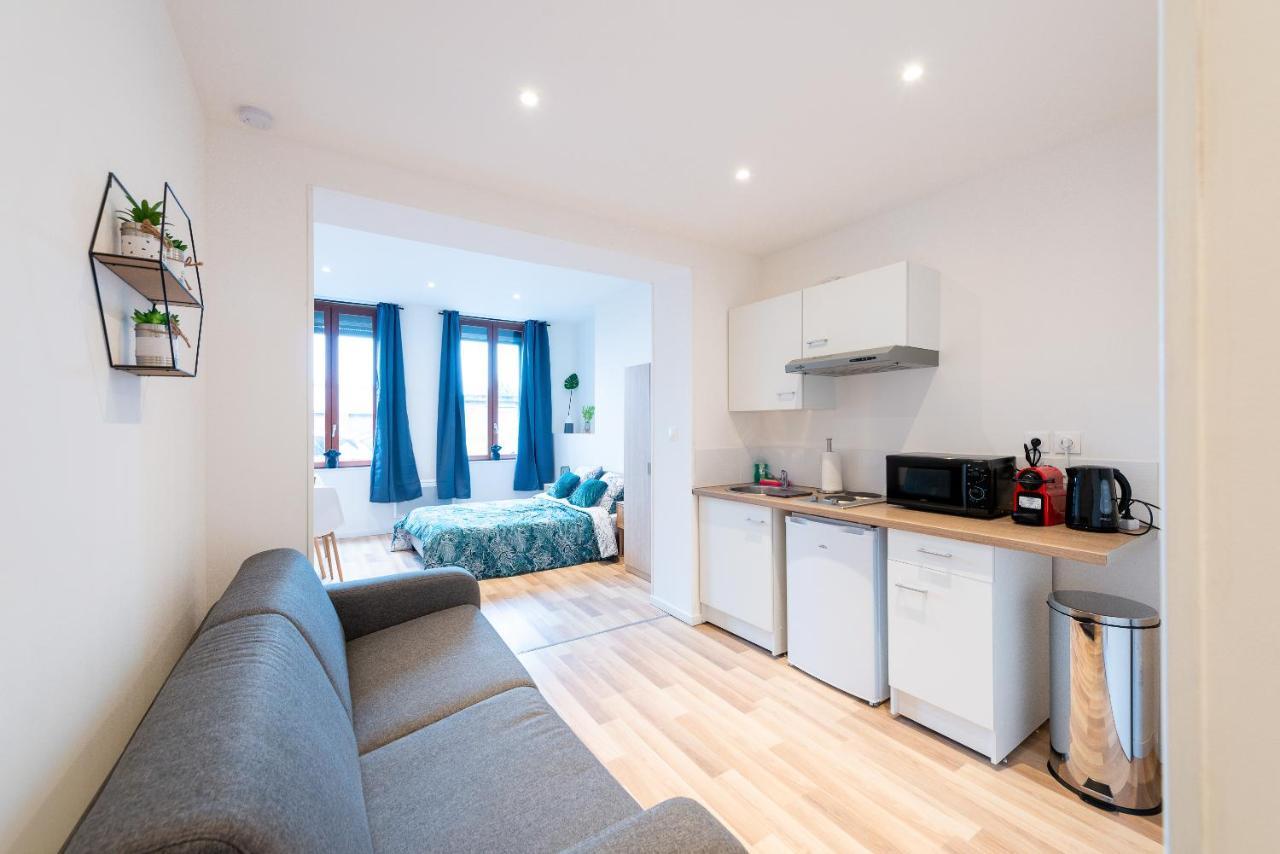 Cosy Location - Confortable, Cosy Et Equipe - Places Gratuites A Proximite * Anzin