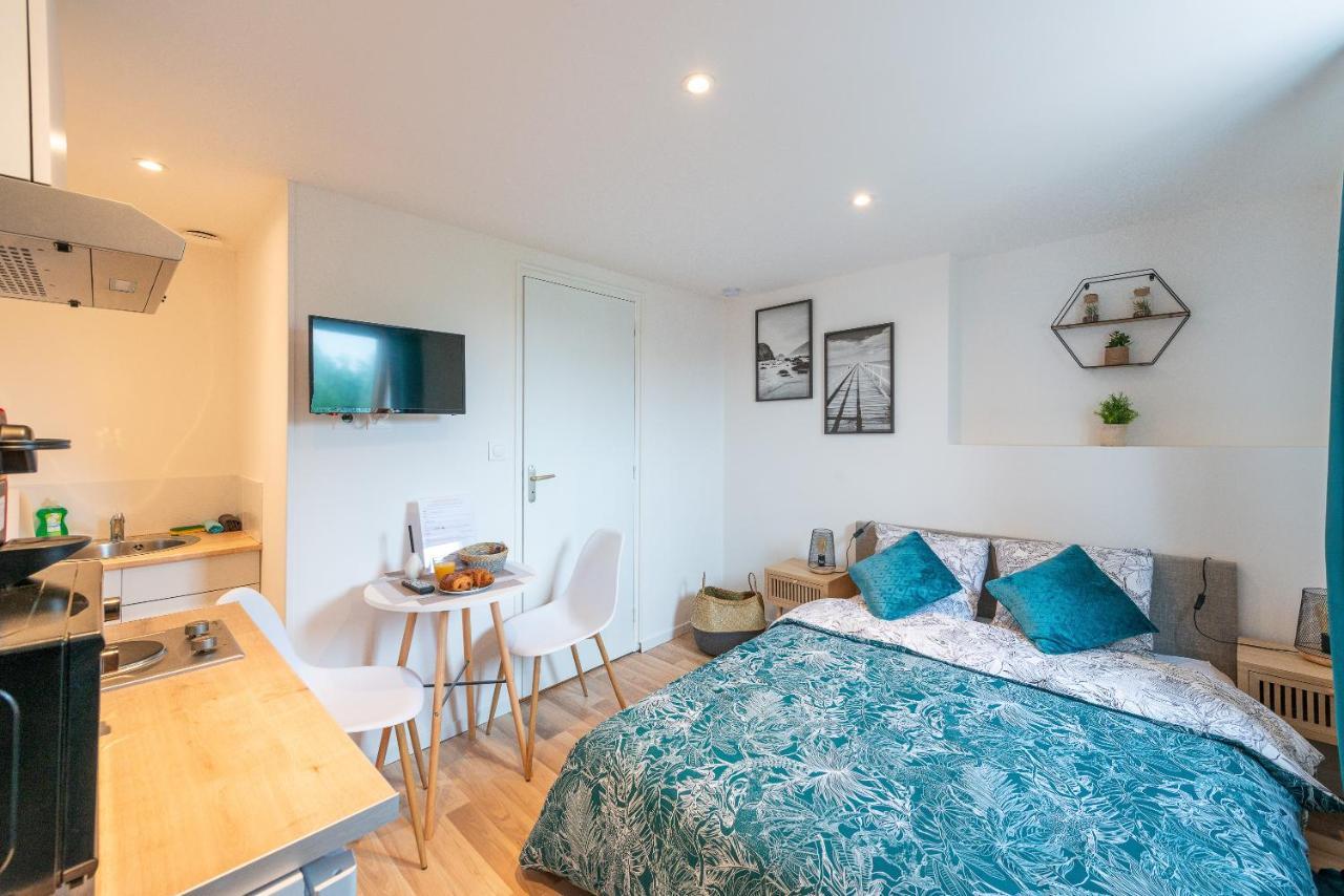 Apartment Cosy Location - Confortable, Cosy Et Equipe - Places Gratuites A Proximite Anzin